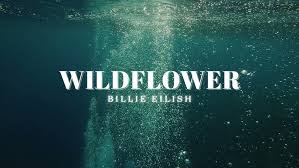 Wildflower